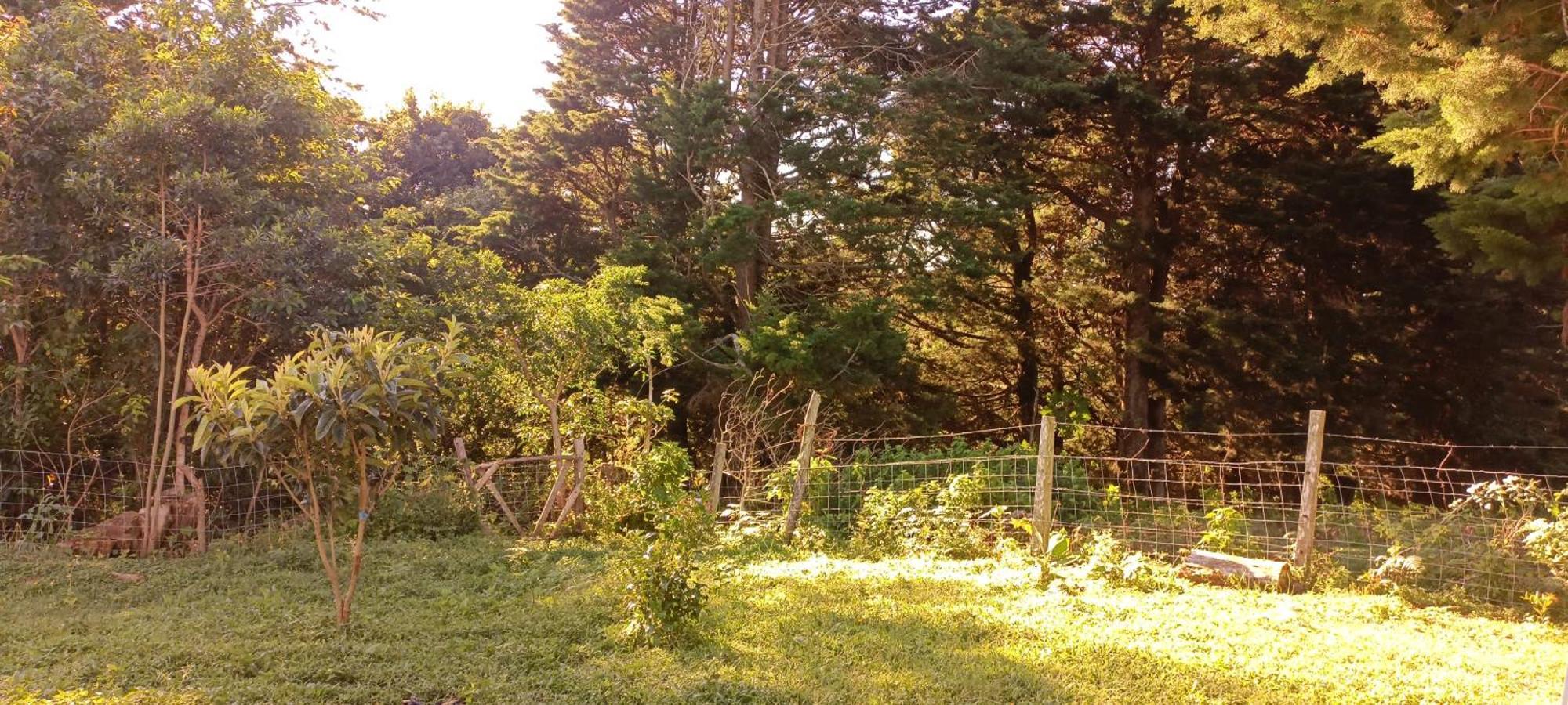 Epimoni Poas Exterior foto